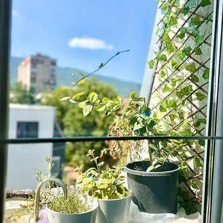 Flow Place Apartment *