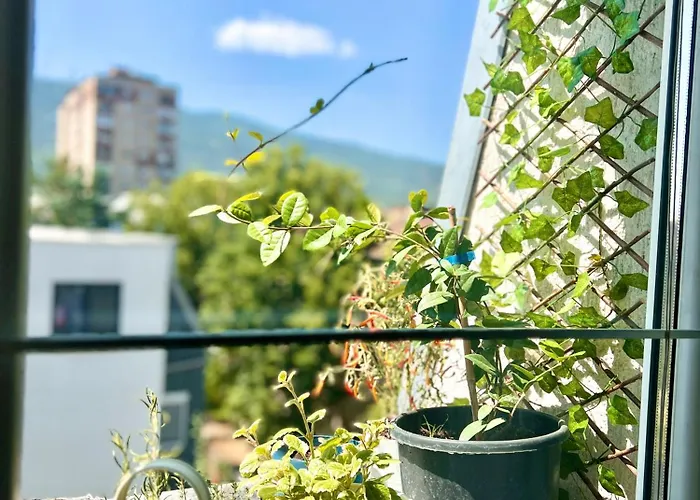 Flow Place アパート *